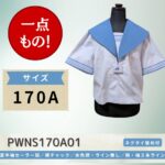 PWNS170A01